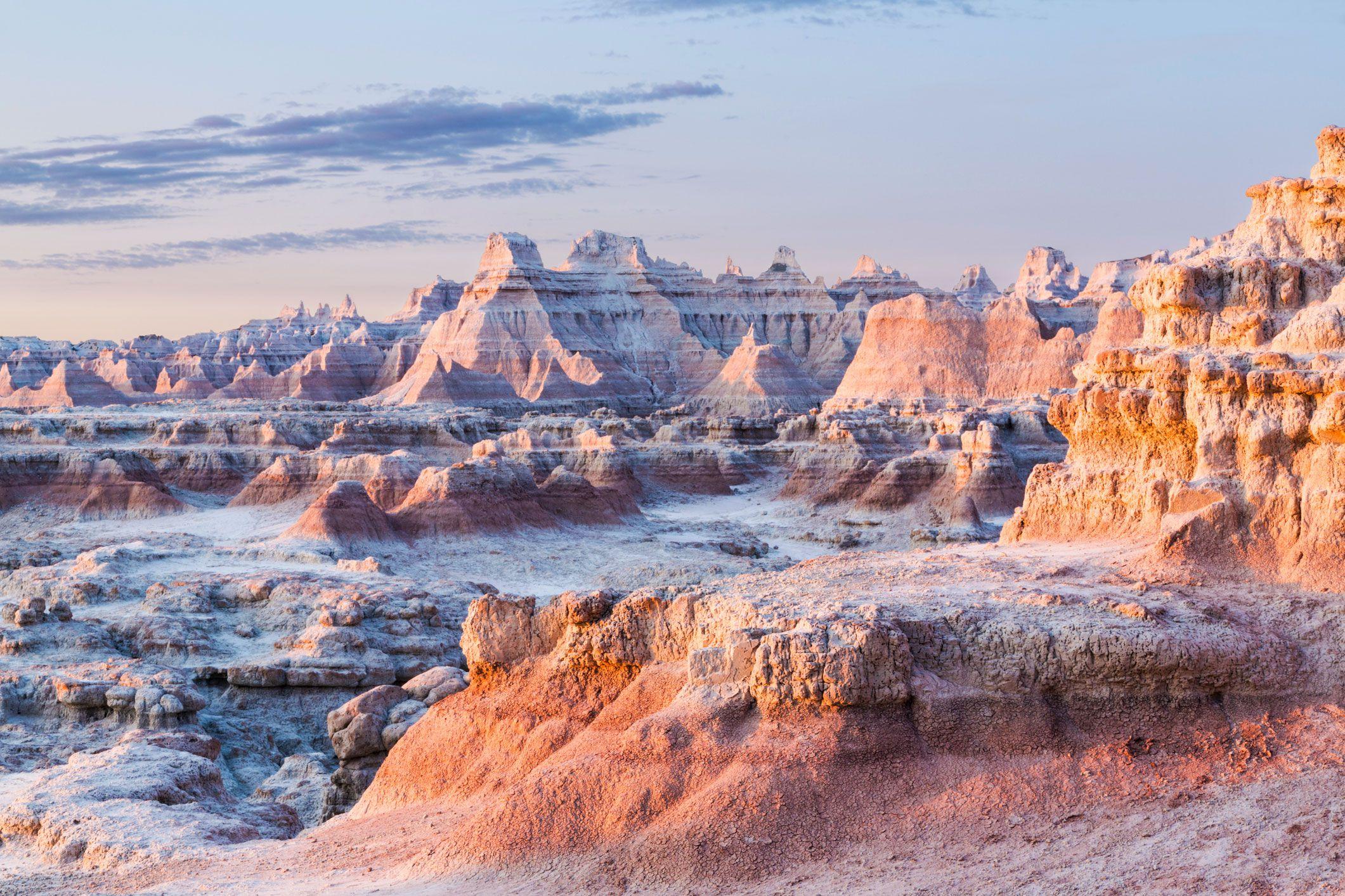 Make an impact. Volunteer with PMISD.